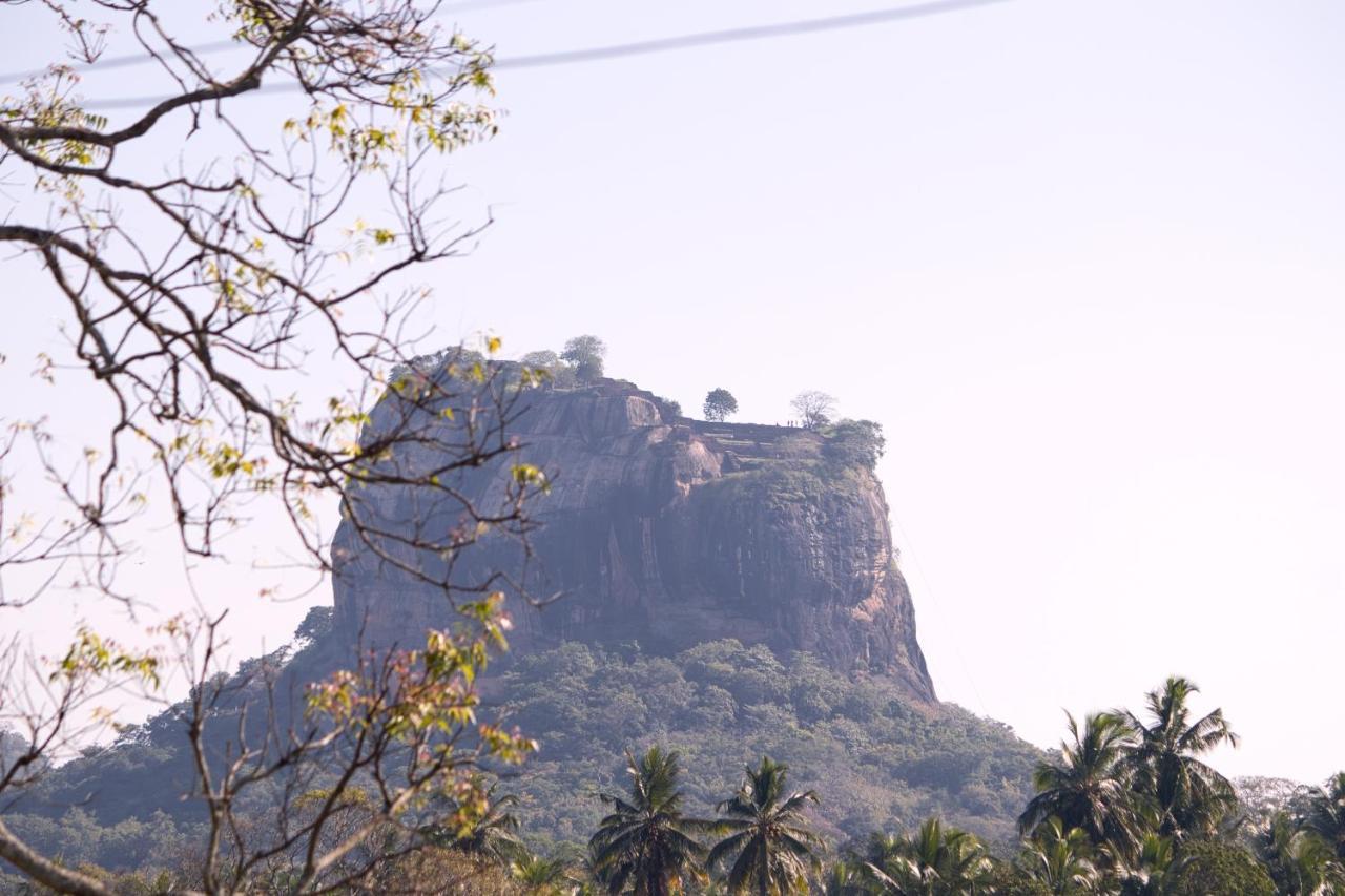 Hotel Royal Rock Sigiriya Exterior foto