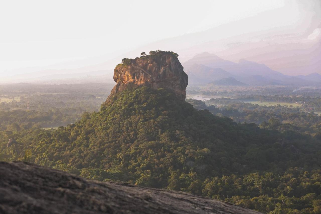 Hotel Royal Rock Sigiriya Exterior foto