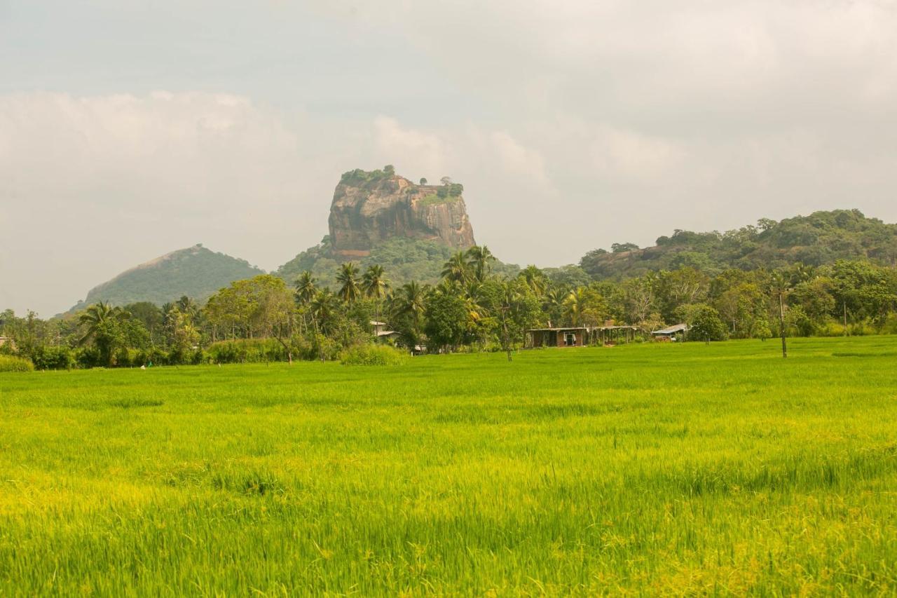 Hotel Royal Rock Sigiriya Exterior foto